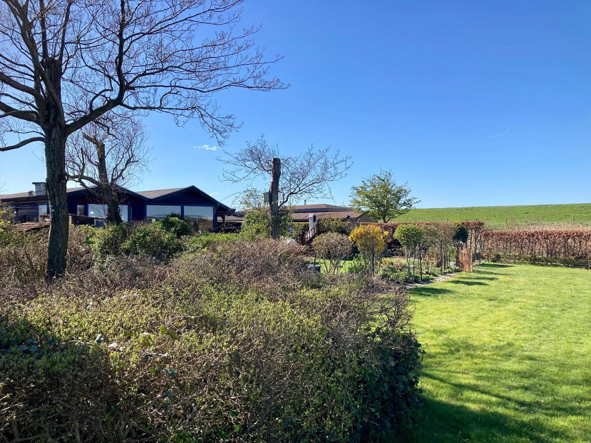 House Marijke With Winter Garden And Direct Access To The Lauwersmeer Anjum 외부 사진